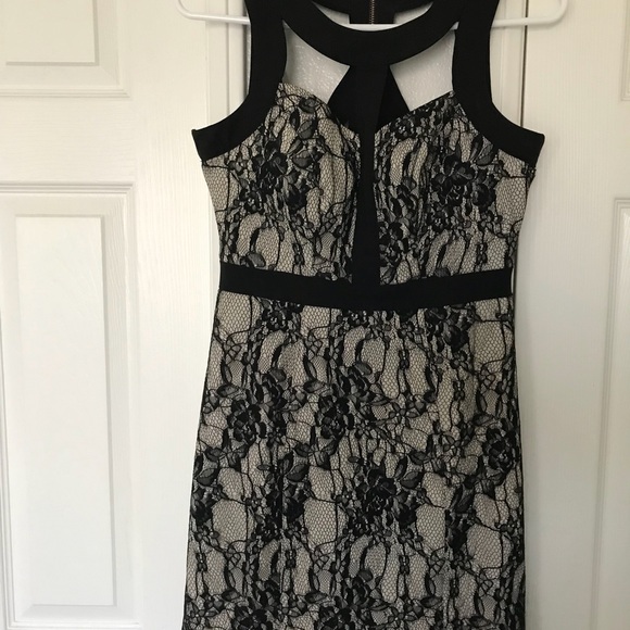 Elegant Sexy Cute Lace Dress. - Picture 2 of 5